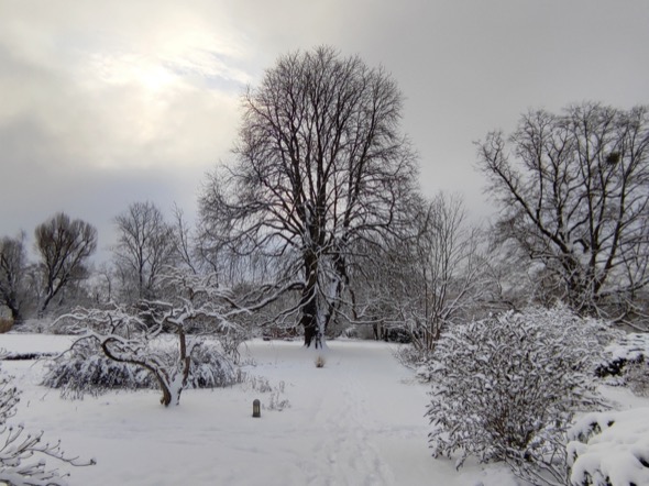Potsdam_21-Winter-0141.jpg